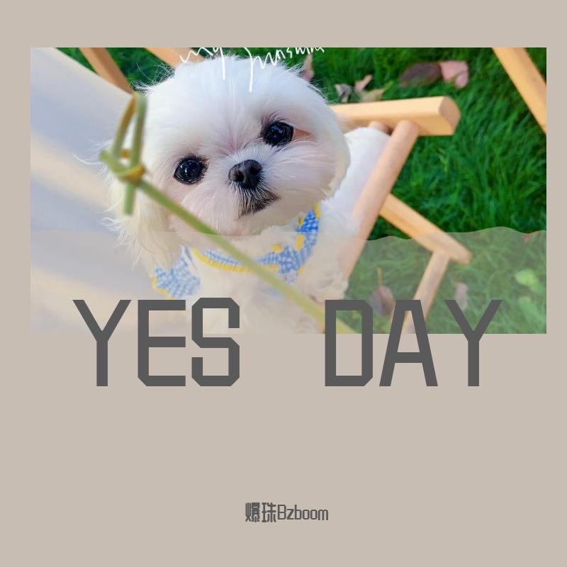 YES DAY - 蔡疏野1nNer808封面