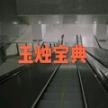 诛心泪 (电音版)封面