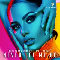 Never Let Me Go