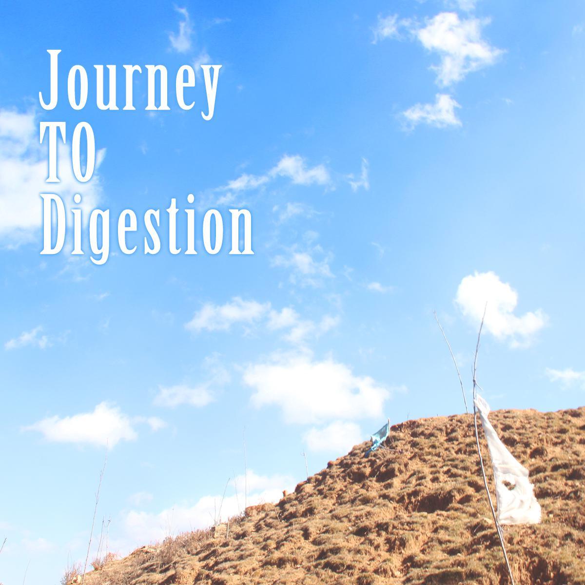 Journey to digestion ft.董李（clean ver.）（翻自 KiD Ink）封面