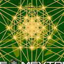 Geomevtrix