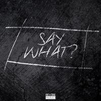 Say What? Vol. 1