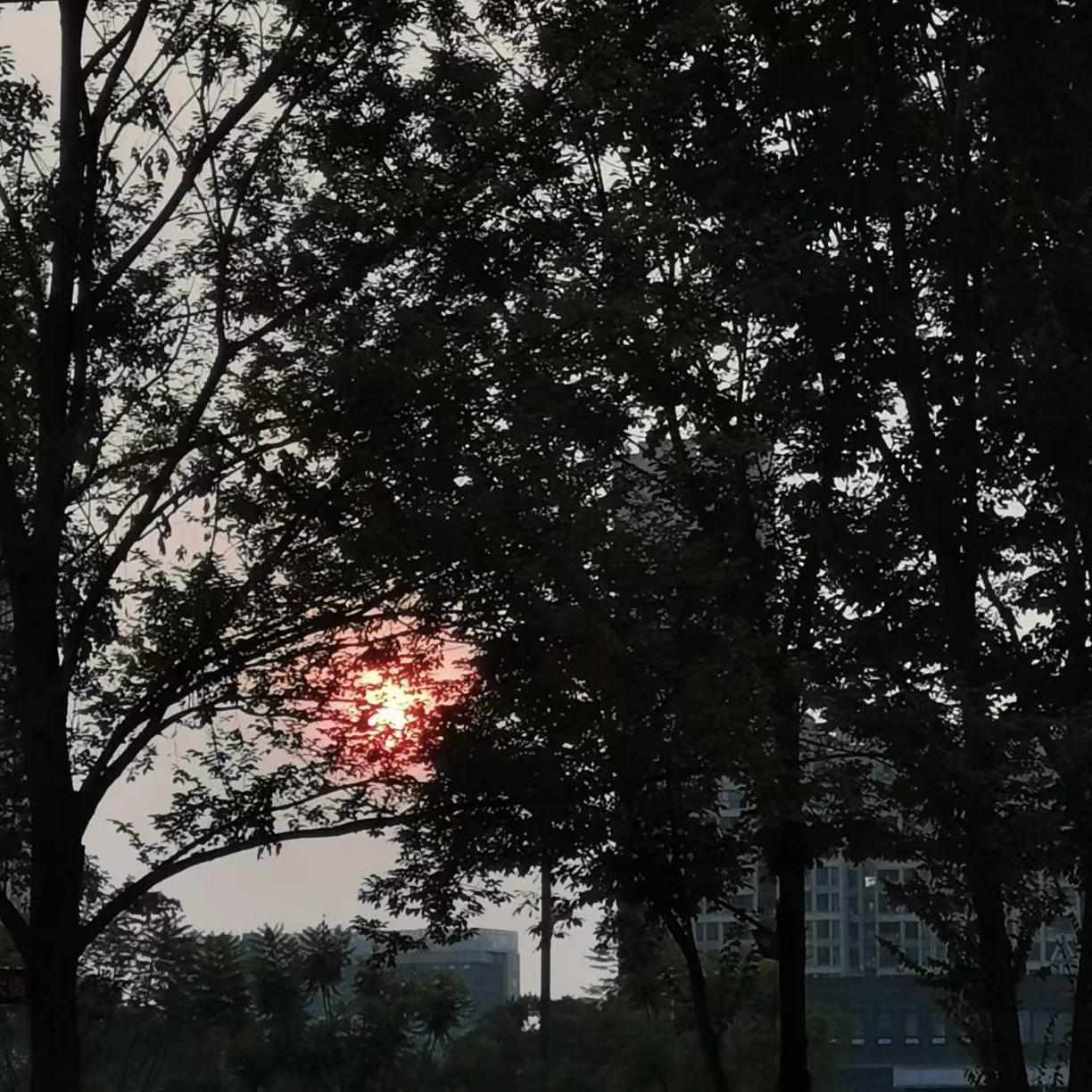 披星戴月的想你 （Cover告五人）封面