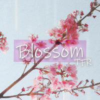 Blossom