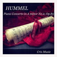 Hummel: Piano Concerto in A minor No.2, Op.85