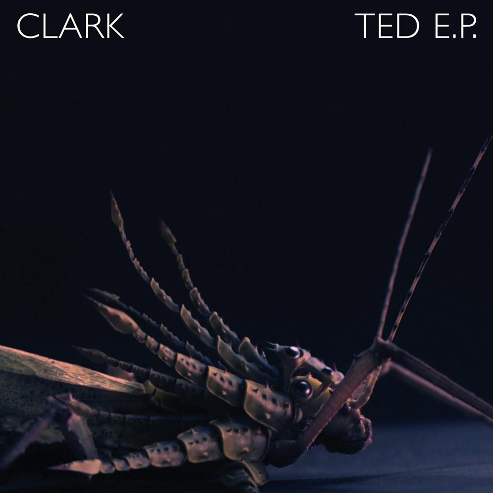 Ted (Bibio Remix)