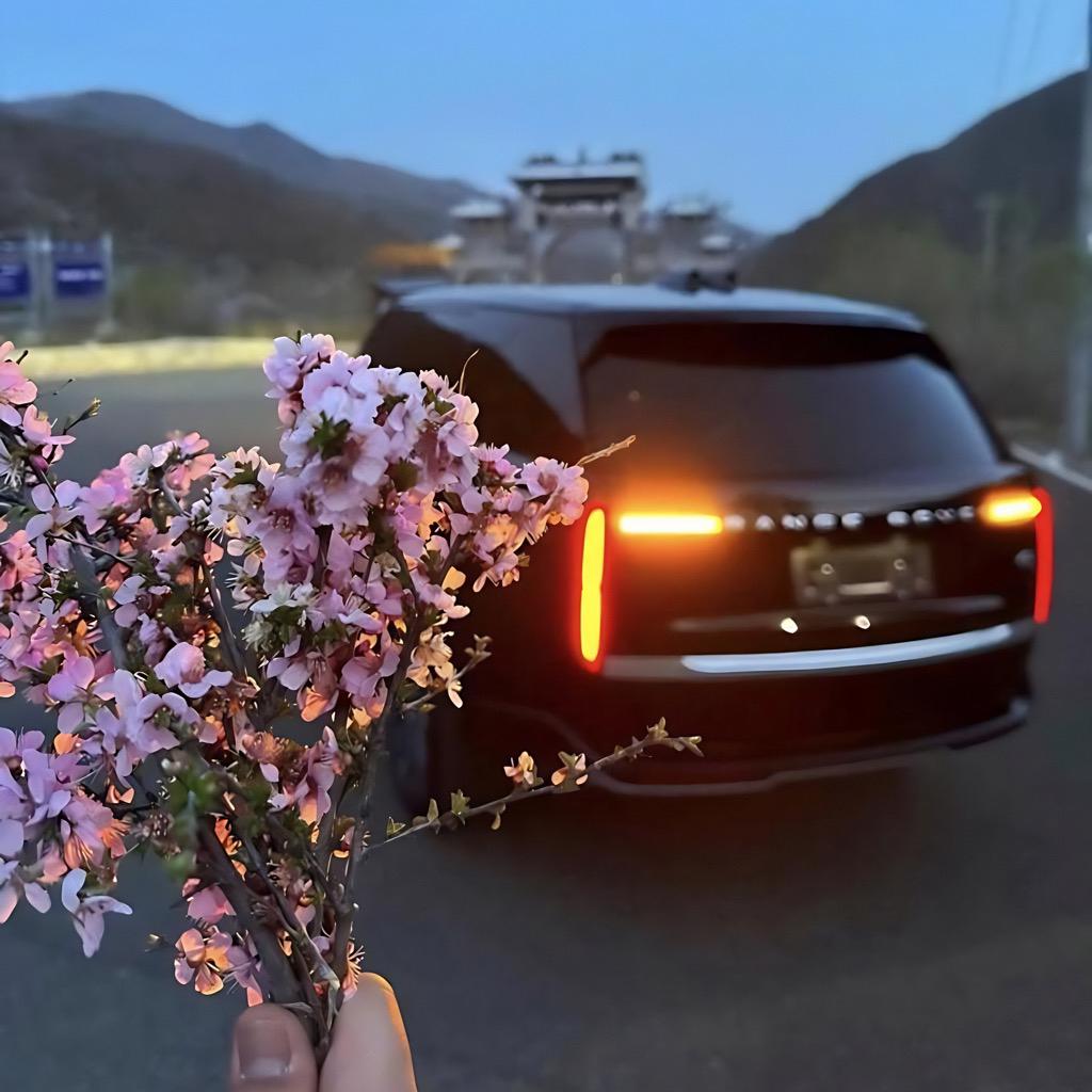 Say Yu Mi Ye 越南鼓 (Tiktok 2023)