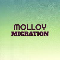 Molloy Migration