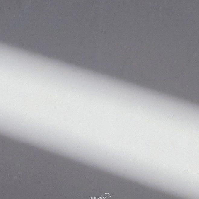 浪漫主义小红歌（翻自 姜云升）