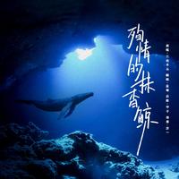 殉情的抹香鲸