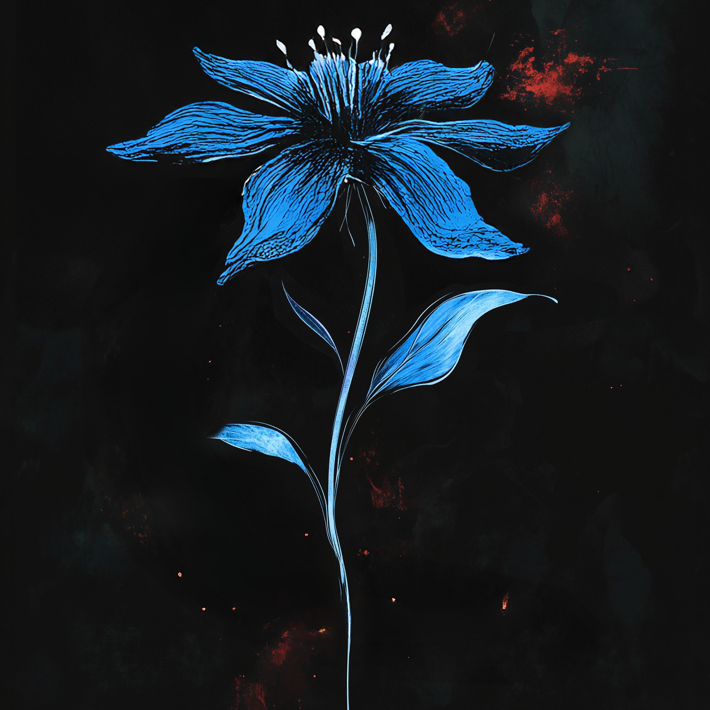 In excitatione terrae