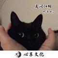 百花香 (DJ版)封面