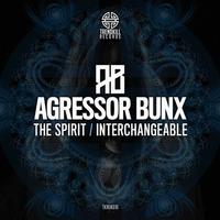 The Spirit / Interchangeavle