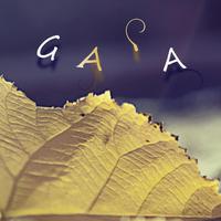 Gaia