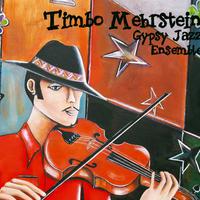 Timbo Mehrstein Gypsy Jazz Ensemble