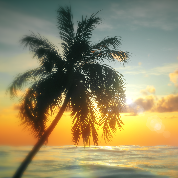 风吹一夏（x0.9）封面