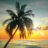 风吹一夏
