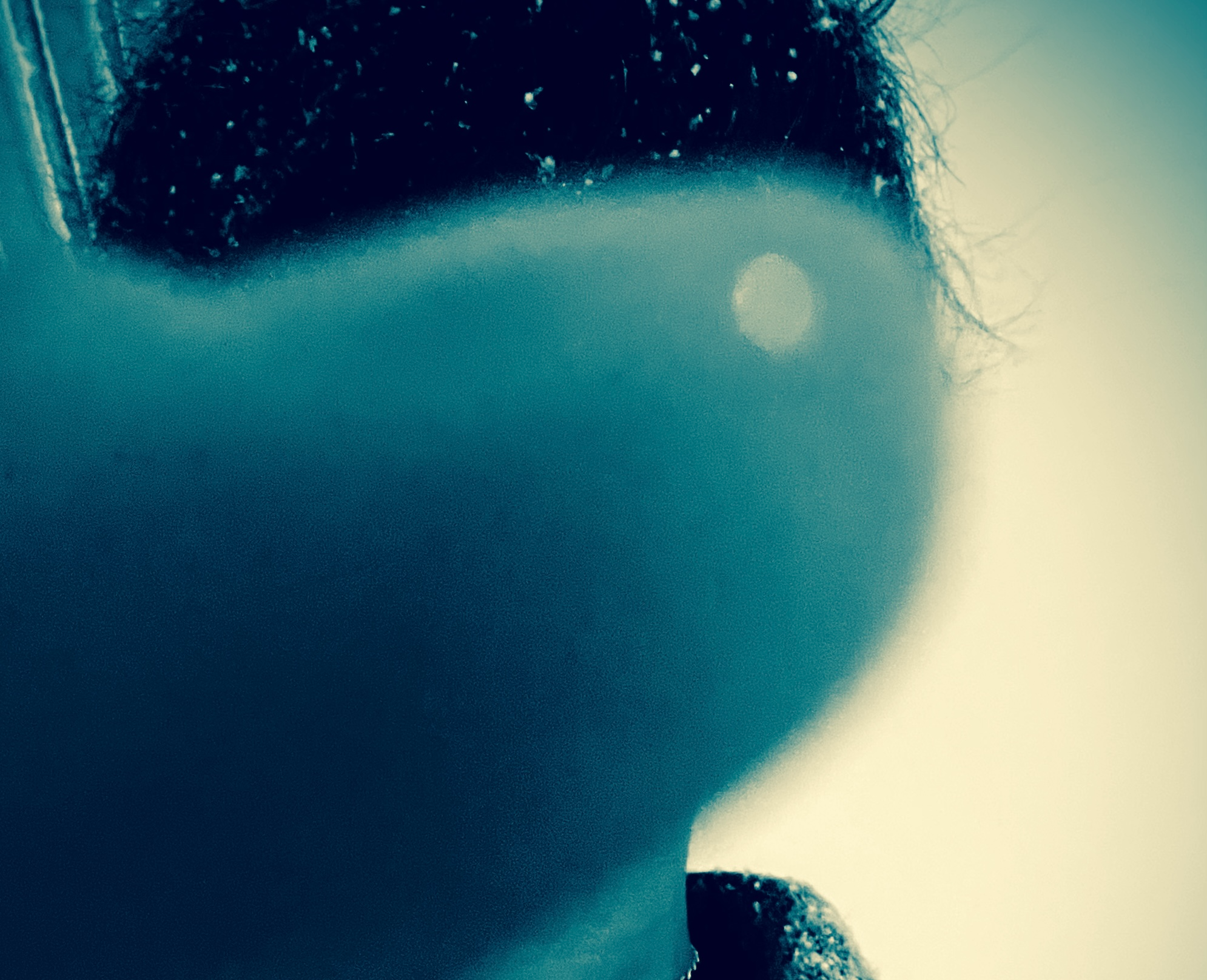 Night to Lie