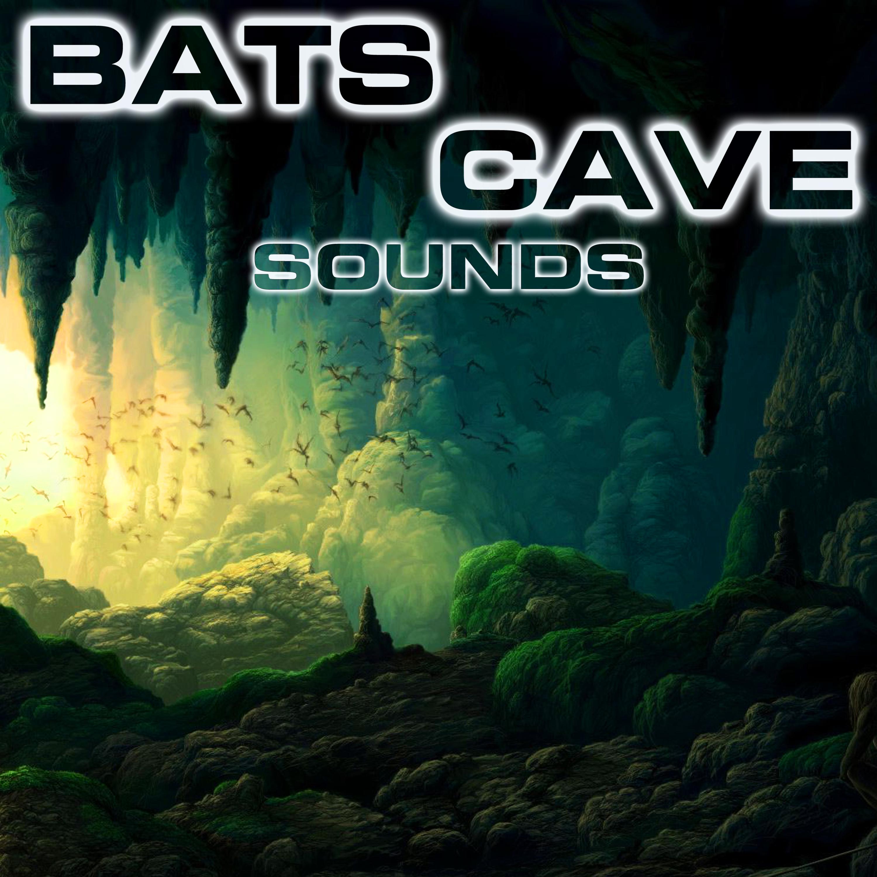 Soothing Bats Cave Sounds Nature Sounds TM/Paramount Nature