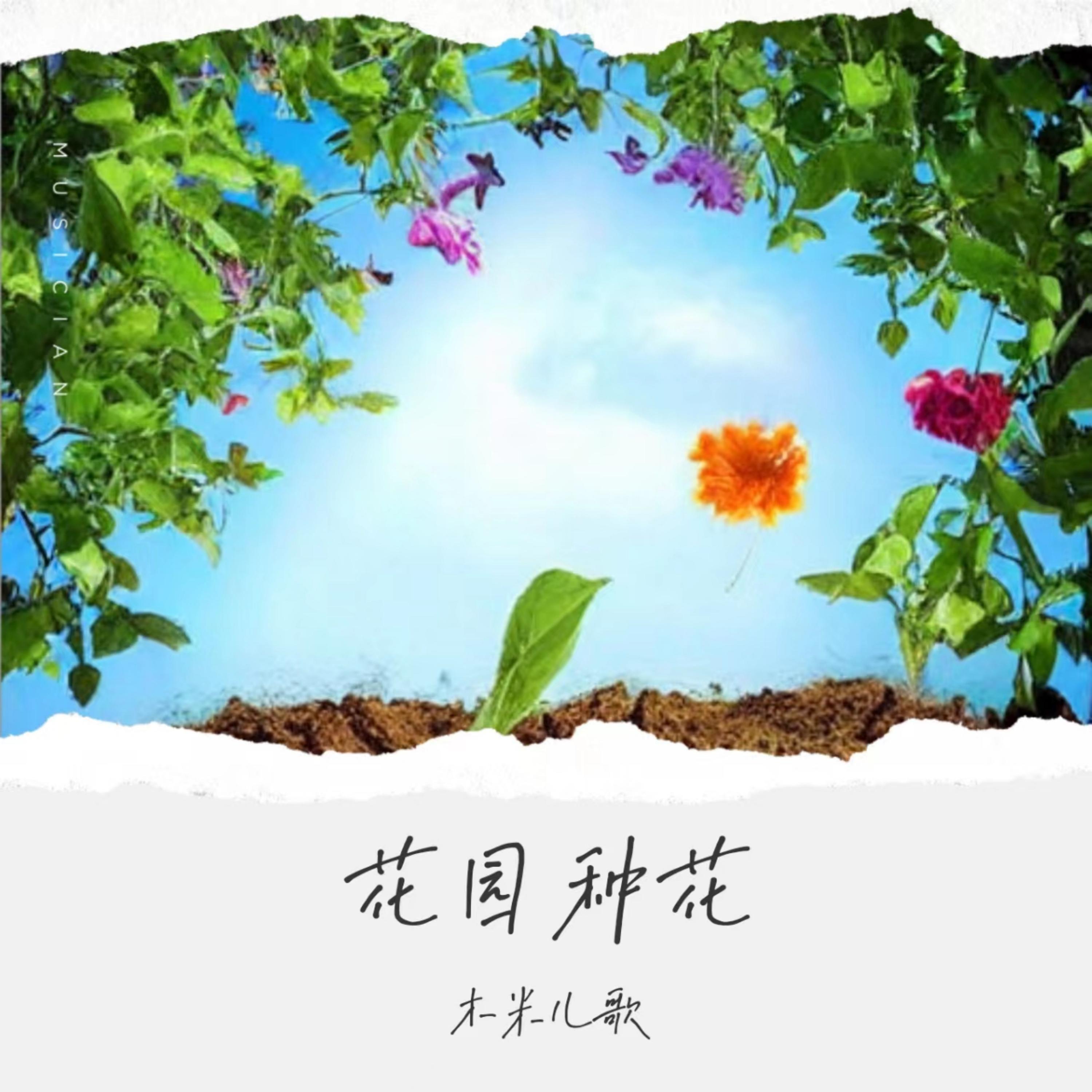 花园种花封面