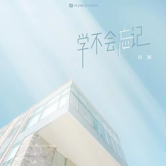 学不会忘记 (伴奏)封面
