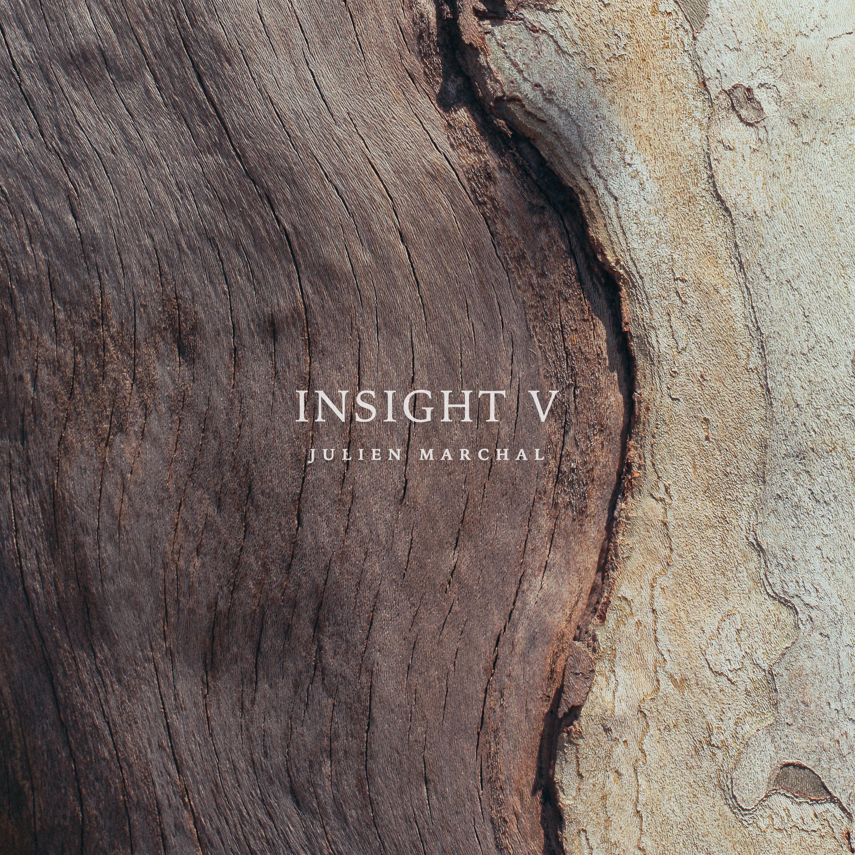 Insight XLV