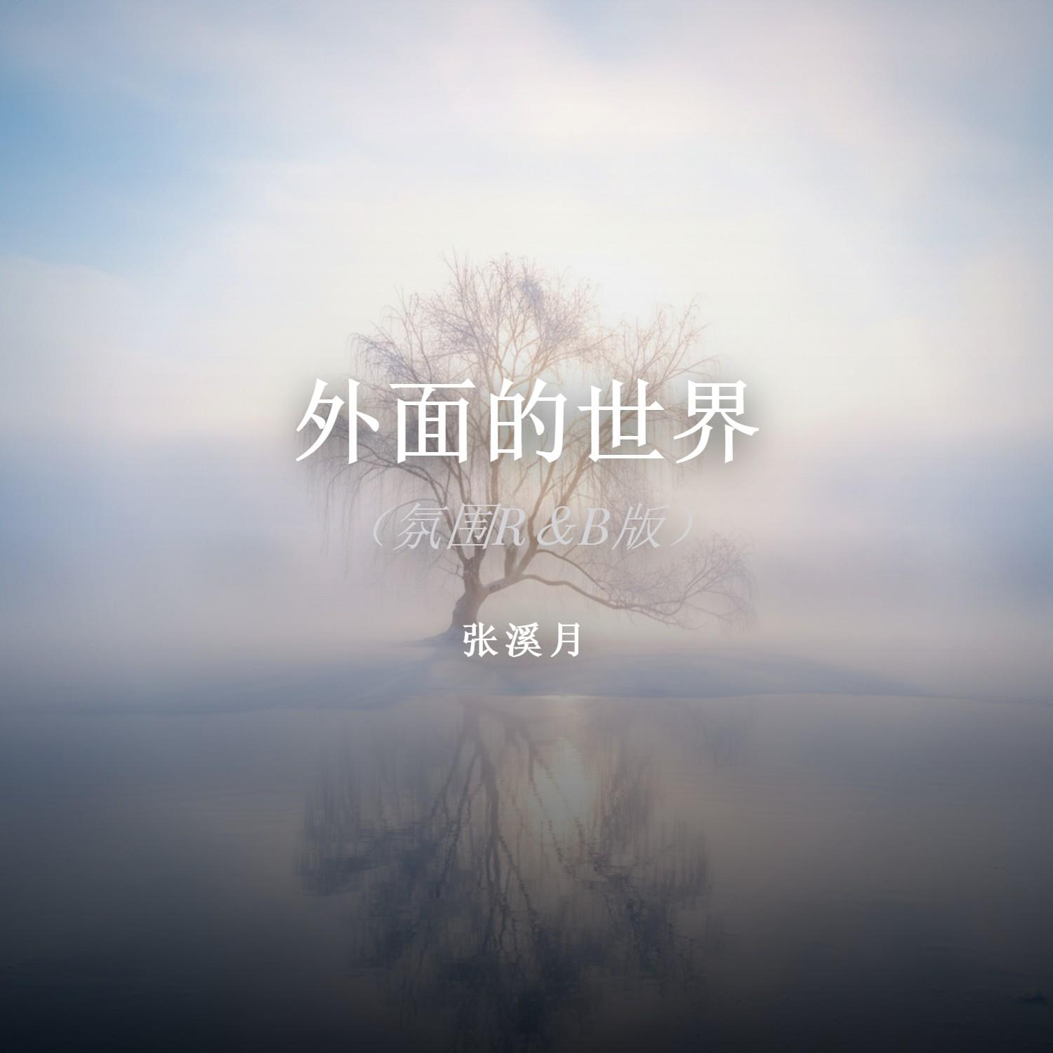 外面的世界封面