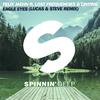 Lost Frequencies - Eagle Eyes (Lucas & Steve Remix Edit)