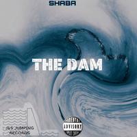 THE DAM