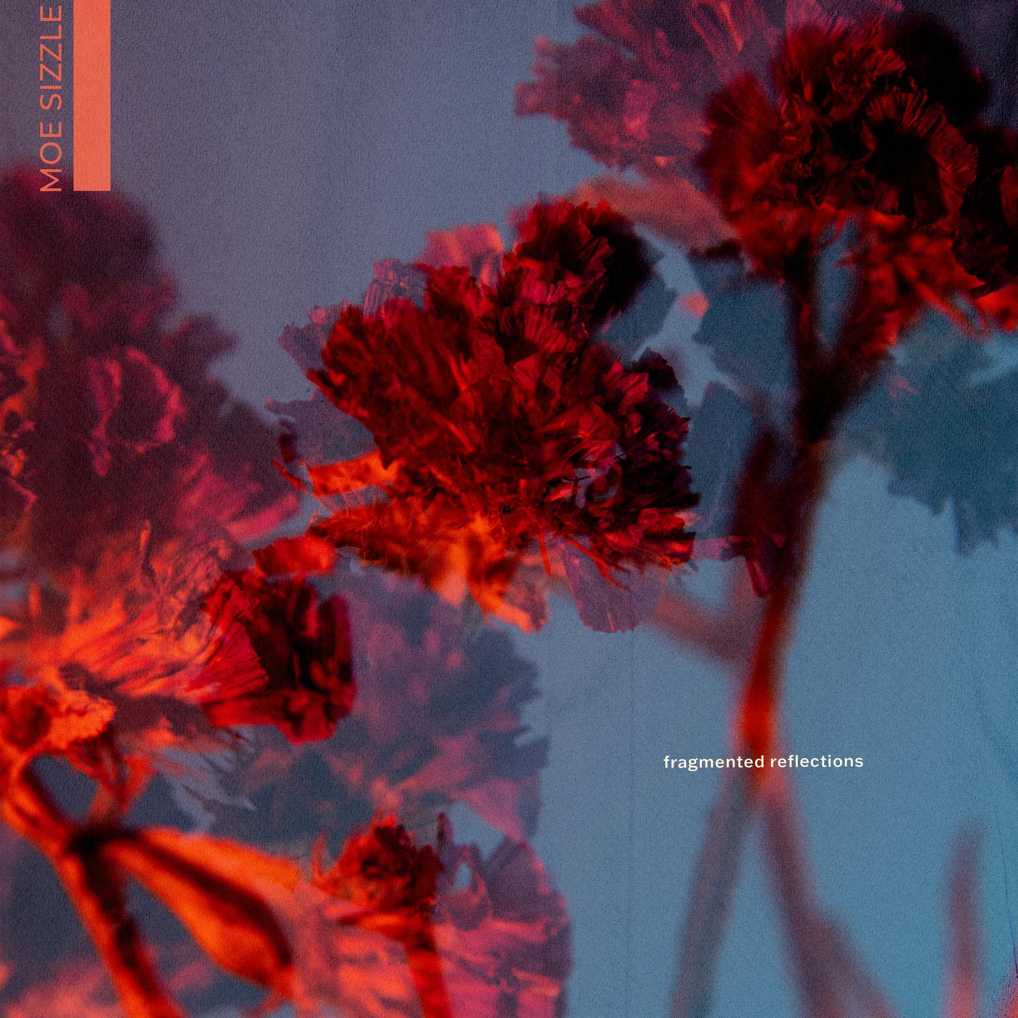 fragmented reflections