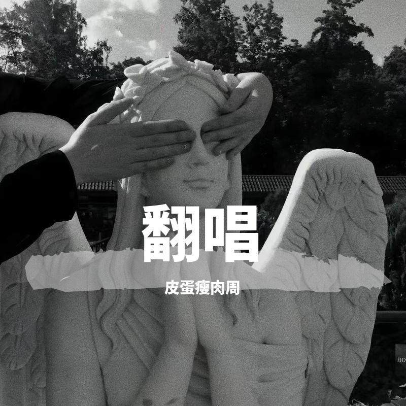 那个男孩（片段）封面
