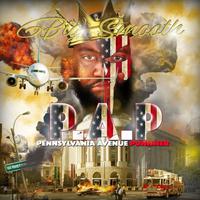 P.A.P - Pennsylvania Avenue Punisher