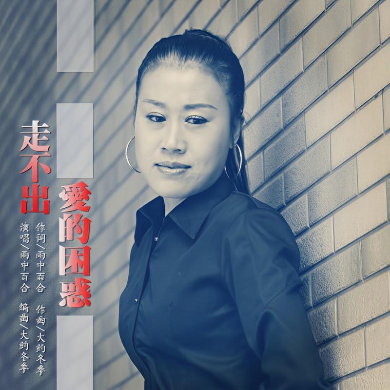 走不出爱的困惑封面