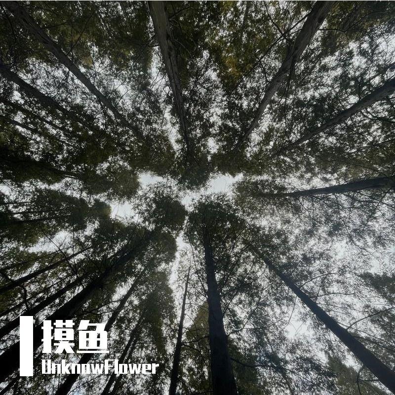 立刻出发封面