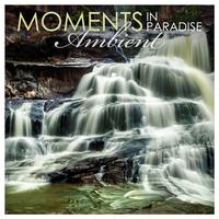 Moments in Paradise: Ambient