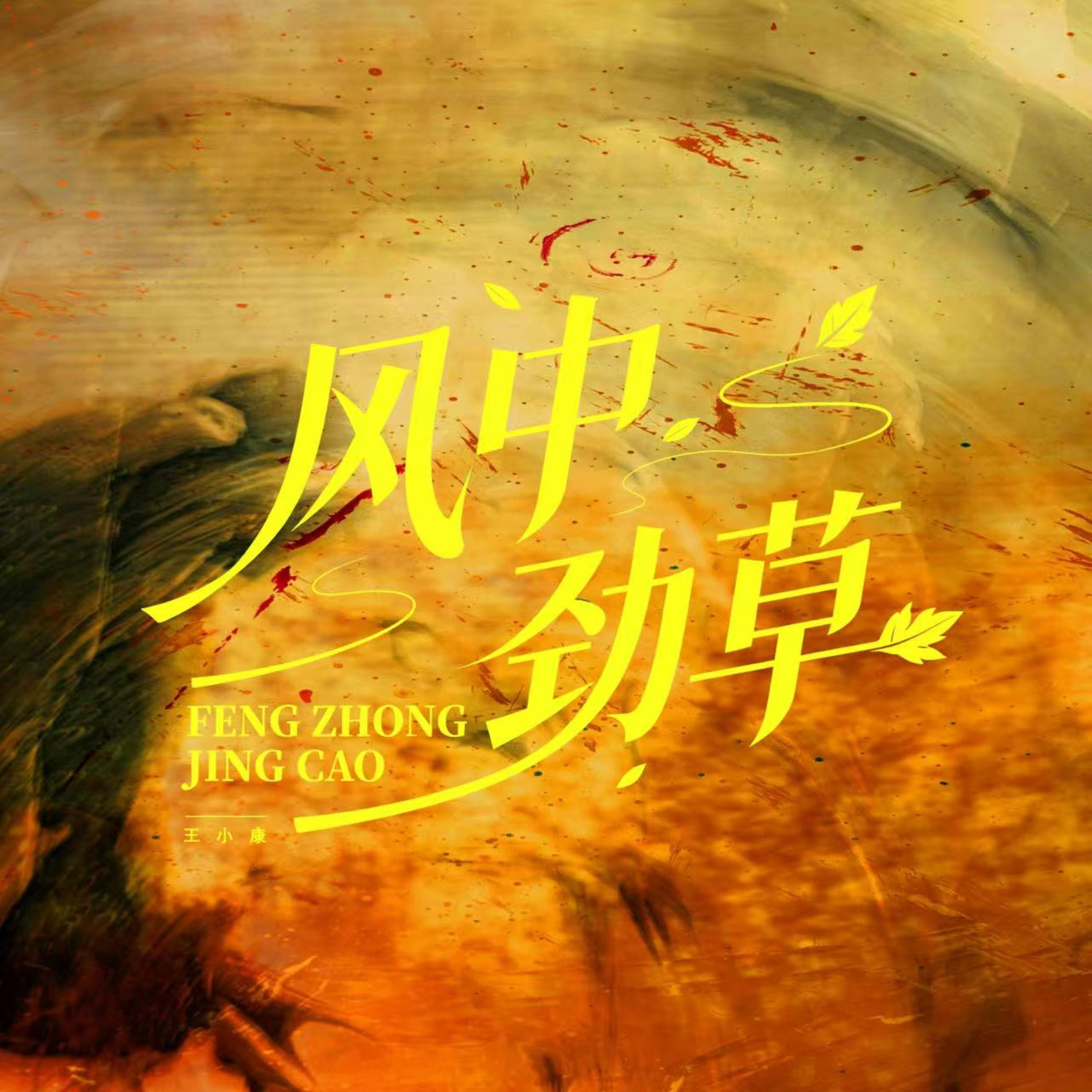 风中劲草封面
