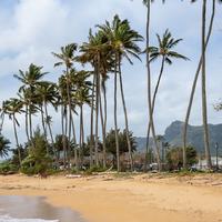 Night Time Jazz Culture