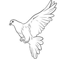 小公主乐队MalePig - 老哥