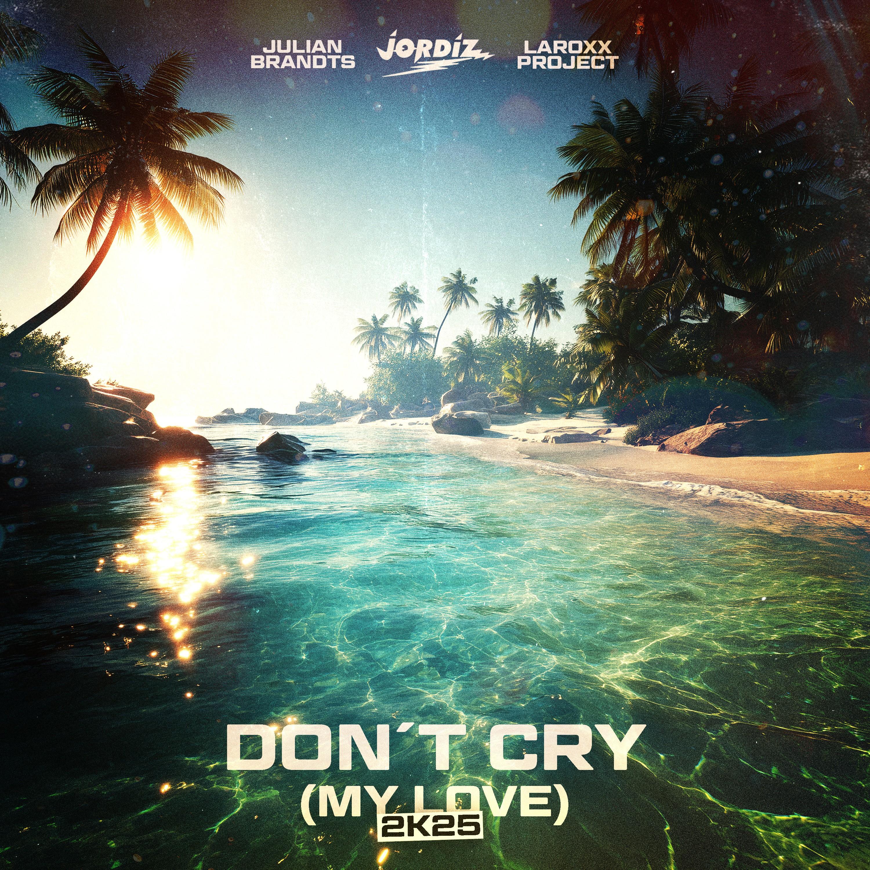 Don't Cry (My Love) [2K25]