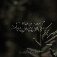 50 Exam and Relaxing Songs for Yoga Serenity