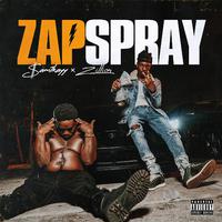 Zap Spray