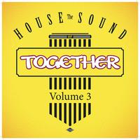 The House Sound of Together, Vol. 3