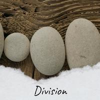 Division