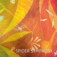 Spider Symphony