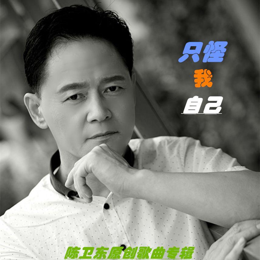 只怪我自己 - 陈卫东封面