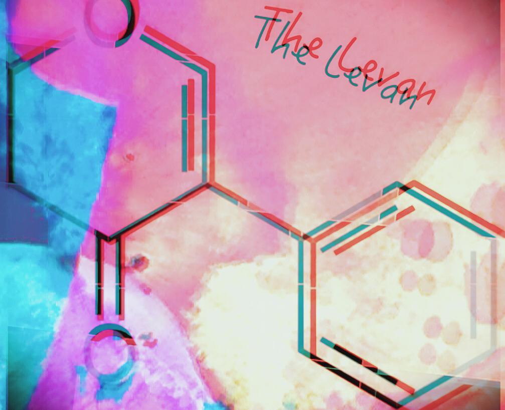 THE LEVAN