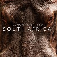 Song of the Hippo - South Africa