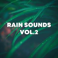 Rain Sounds Vol.2