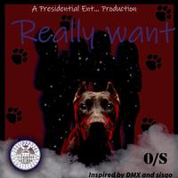 REALLY WANT (feat. SAXO P)