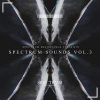 Spectrum Sounds, Vol. 3